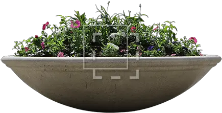 Big Concrete Flower Planter Flower Landscape Png Planter Png