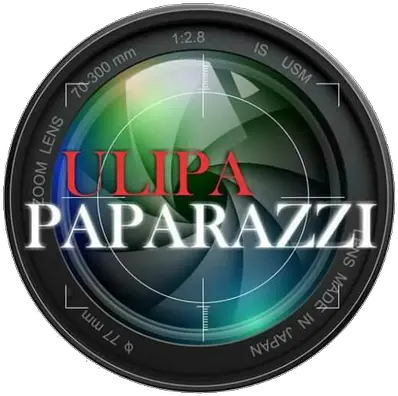 Ulipa Paparazzi Oficial Ulipaoficial Twitter Circle Png Paparazzi Png