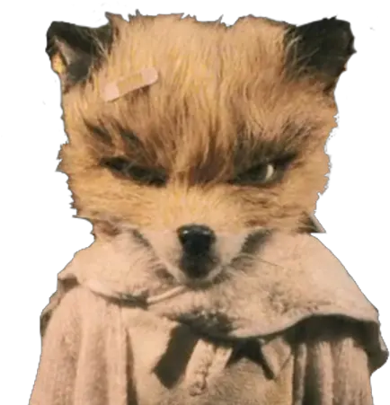 Ash Fox Survivor Rp Wiki Fandom Ash Fantastic Mr Fox Transparent Png Fox Transparent