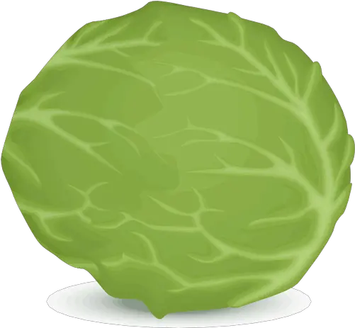 Iceberg Lettuce Public Domain Vectors Iceberg Lettuce Vector Png Veg Non Veg Icon Vector