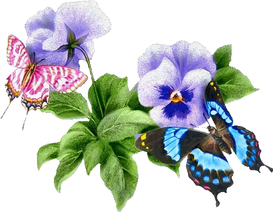 297 Butterfly Gifs Animated Transparent Nature Gif Png Butterfly Gif Transparent