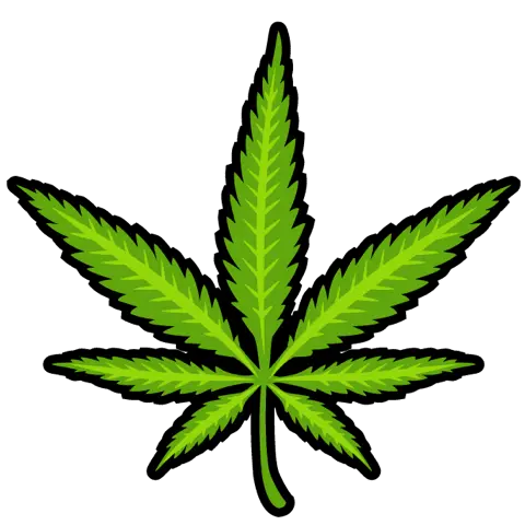 Weed Png And Vectors For Free Download Dlpngcom Pot Leaf Emoji Iphone Pot Leaf Transparent Background