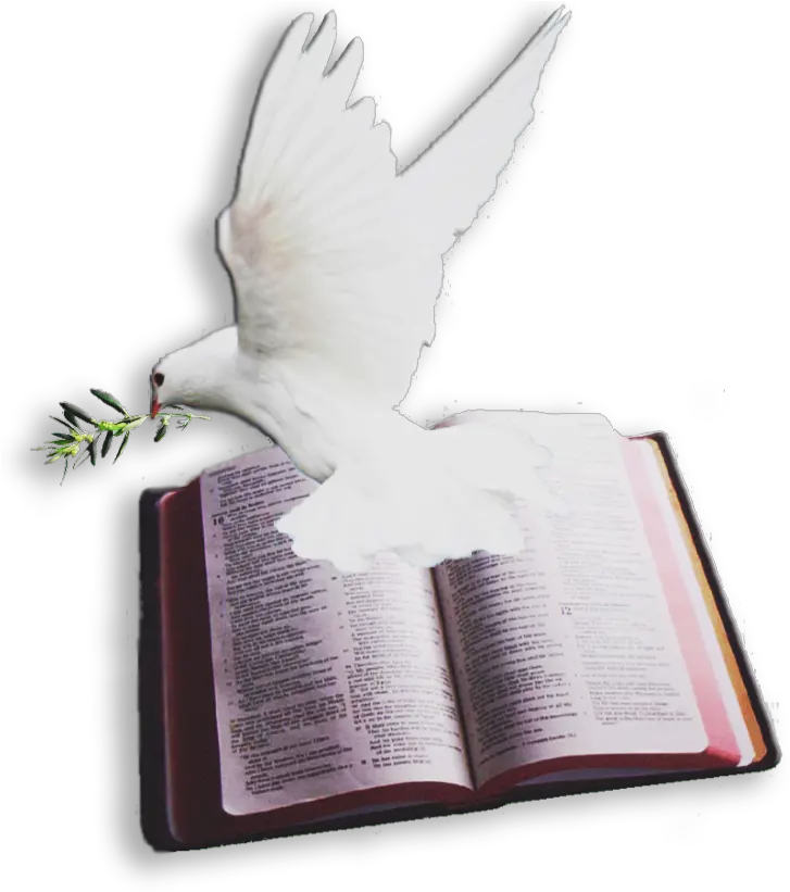 Download Archivo Del Blog U003c Bible And Dove Png Png Image Holy Spirit Dove And Bible Peace Dove Png