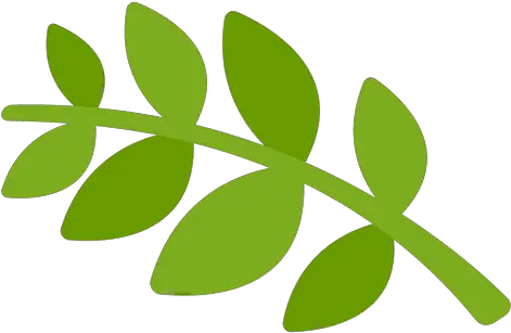 Laurel Cartoon Icon Dibujo Rama De Laurel Png Plant Cartoon Png