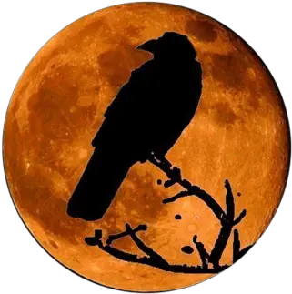 Google Image Result For Httpofficialpsdscomimages Raven In The Moon Png Halloween Moon Png