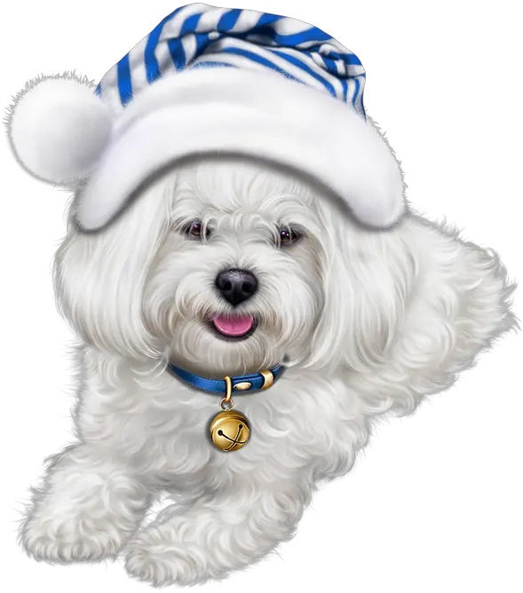 Cute Puppy Png Transparent Lhasa Apso Clipart Dog Shih Tzu Christmas Puppy Clipart Png