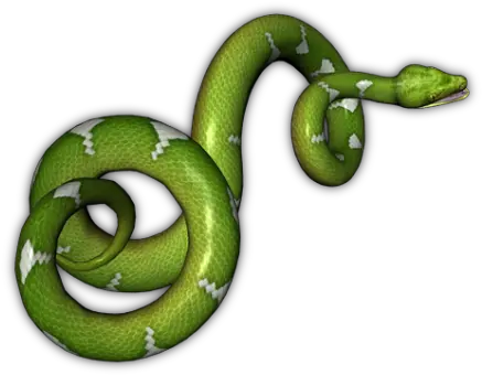 Green Snake Transparent Background Transparent Background Snake Clipart Png Snake Transparent Background