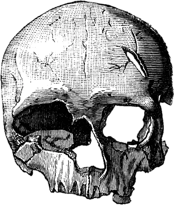 Caveiras Em Png Calavera Png Sin Fondo Full Size Png Modern Skull Drawing Calavera Png