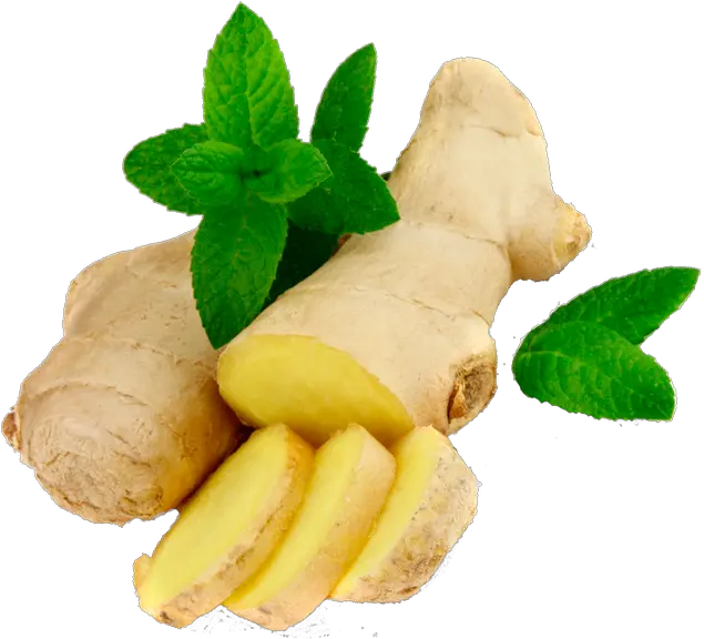 Ginger Png Image For Free Download Ginger Png Ginger Png