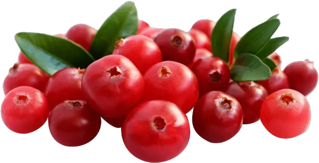 2 Kg Chopped Cranberries Cranberry Png Cranberry Png