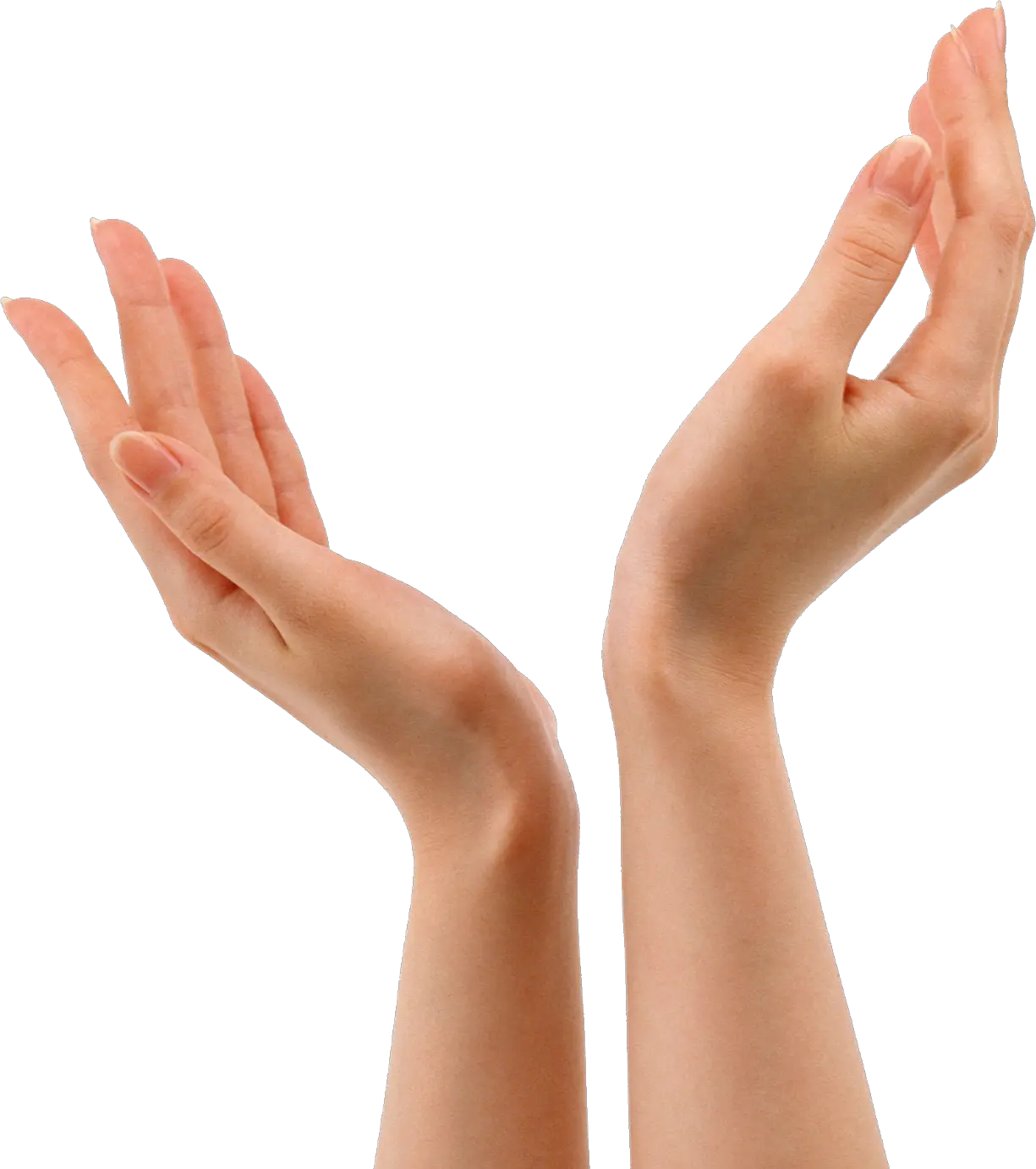 Hand 3d Png