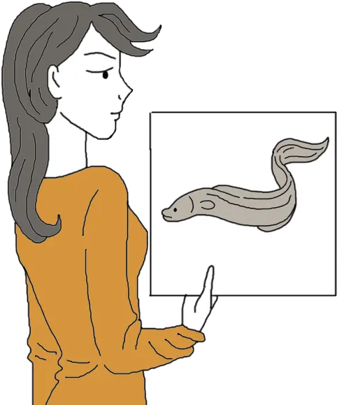 Download Eel Dream Meanings Sketch Hd Png Download Uokplrs American Eel Eel Png