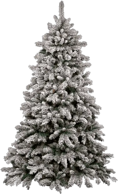 Snow Pine Tree Png Image Snow Pine Tree Png Pine Tree Transparent Background