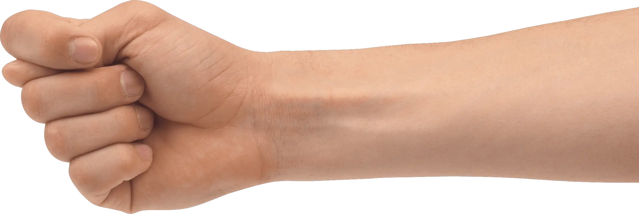 Dog Hand Png