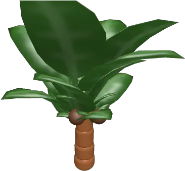 Palm Treepng Roblox Roystonea Palm Tree Png