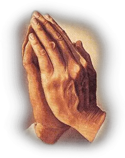 Praying Hands Png Praying Hands Transparent Background Back Of Hand Png