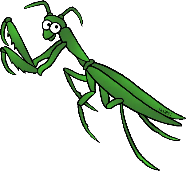 Free Praying Mantis Clipart Download Praying Mantis Clipart Png Praying Mantis Png