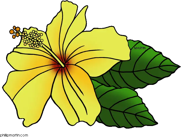 Hawaiian Flower Clip Art Free Wikiclipart Gumamela Clipart Png Hawaiian Flower Icon