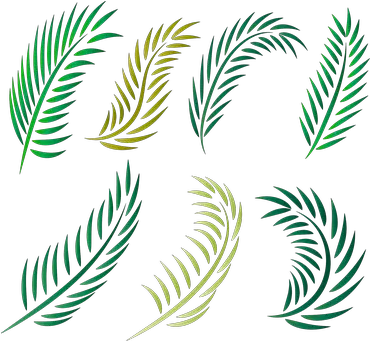 Palm Tree Vectors Gambar Siluet Daun Palem Png Palm Tree Vector Png