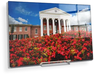 Ole Miss Rebels Lyceum Circle Historic District Png How To Add More Icon Colums On Samsung