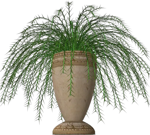 Pot Plant Clipart Fern Potted Plant Png Transparent Flowerpot Potted Plant Png