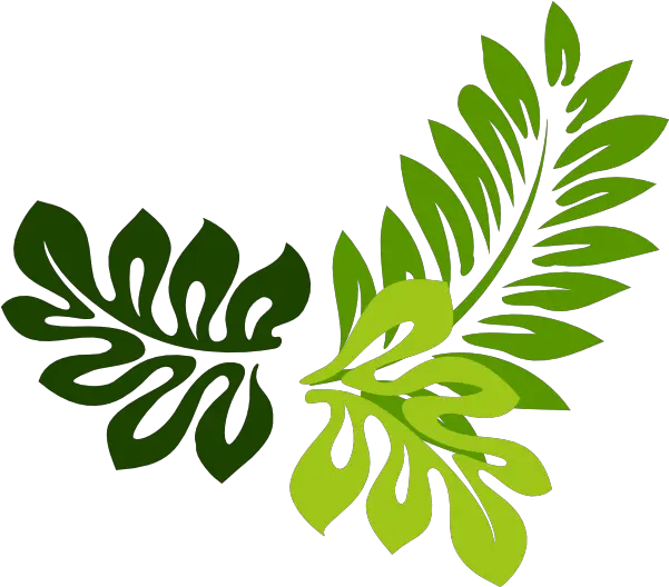 Leaf Border Clipped Art Hi Image Leaf Border Vector Png Jungle Border Png