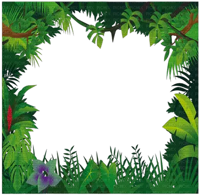 Free Jungle Cliparts Frames Download Jungle Frame Clipart Png Jungle Border Png