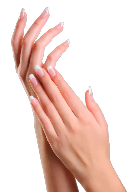 Realistic Hand Png