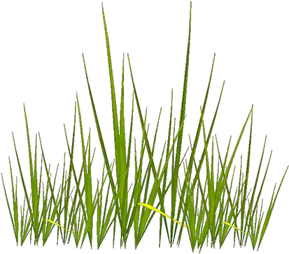 Grass Texture Png Picture Alpha Grass Texture Png Grass Texture Png