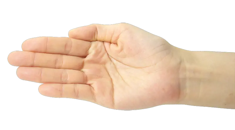 Hand Waving Png