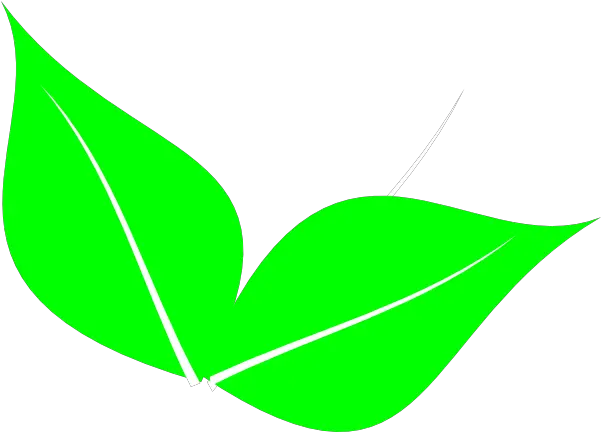 2 Clipart Leaf Transparent Free 2 Leaves Clipart Png Leaves Clipart Png