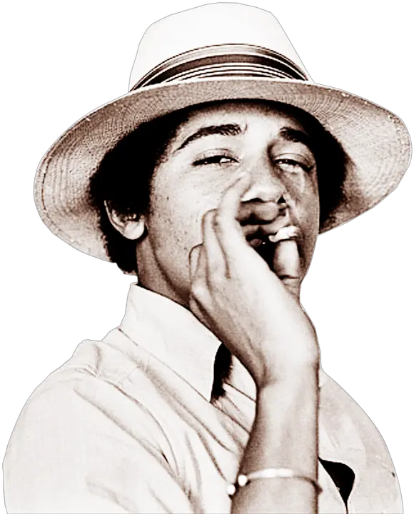 Barack Obama Smoking Weed Throw Pillow By Amy90 985450037893 Png