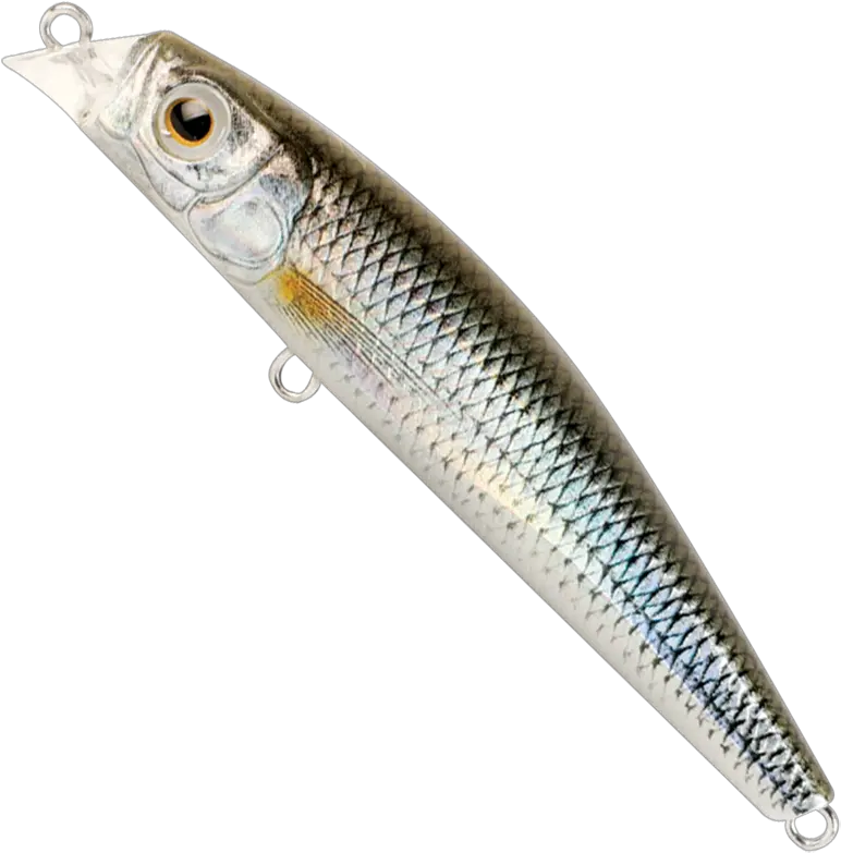 Zerek Lures Pyra 120mm Fishing Lure Stunned Mullet Fishing Gear Sardine Png Fishing Lure Png