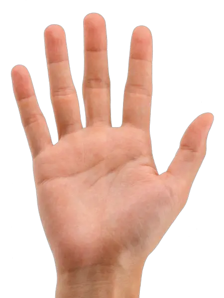 L Hand Sign Png