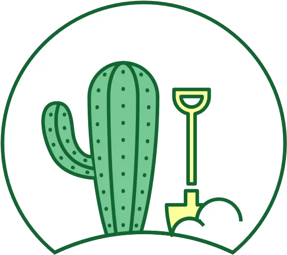 The Cactus Outlet Healthy Cacti Succulent Plants From Our Cactus Png Cactus Icon