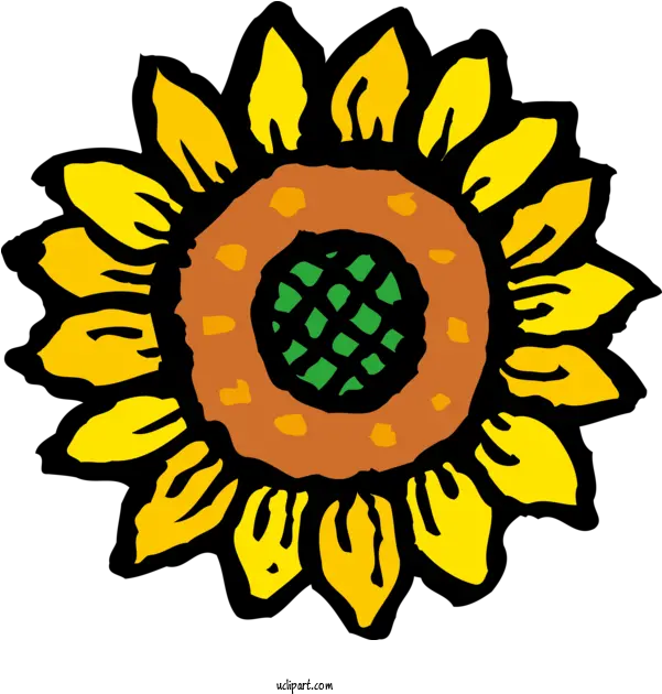 Flowers Icon Common Sunflower Health For Sunflower Icon Png Iris Flower Icon