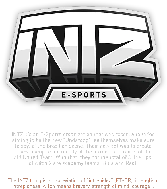 Intz E Sports On Behance Sports Logo Branding Sports Team Intz Logo Png Counter Strike Logos