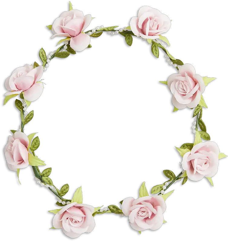 Flower Crown Pink Flower Crown Png Snapchat Flower Crown Png