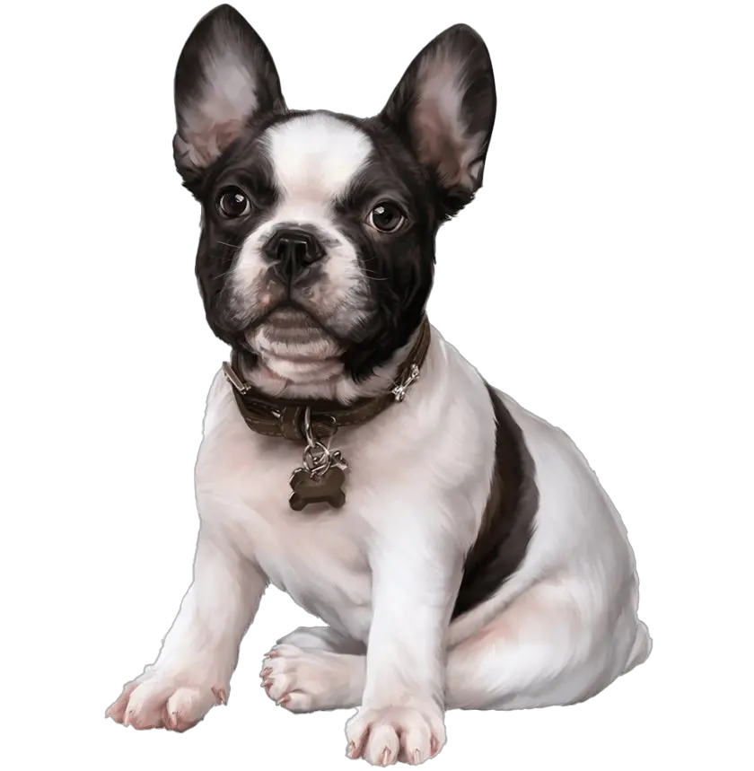 Download French Bulldog Puppy Images Clip Art Cute Dogs French Bulldog Png Clipart Dogs Png