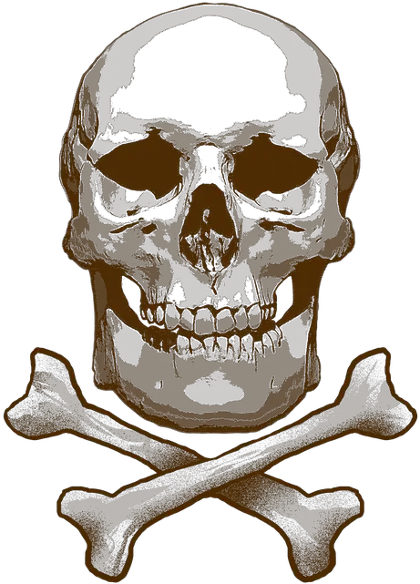 Free Photo Skull Bones And Cross Skeleton Toxic Creepy Png Skull And Crossbones Png