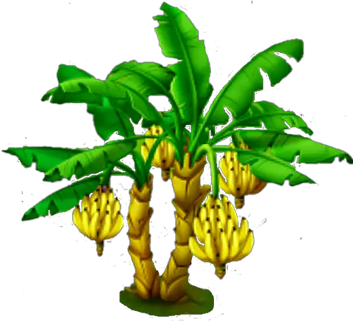 Banana Tree Banana Tree Png Banana Leaf Png