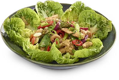 Wagamama Menu Salads Warm Chilli Chicken Salad Wagamama Png Salad Transparent Background