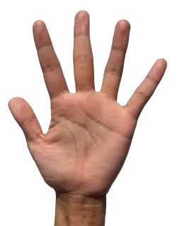 Png Hands