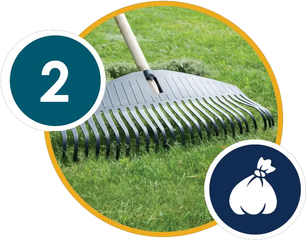 8 Tips To Protect Your Home Riversidecagov Artificial Turf Png Dead Grass Png