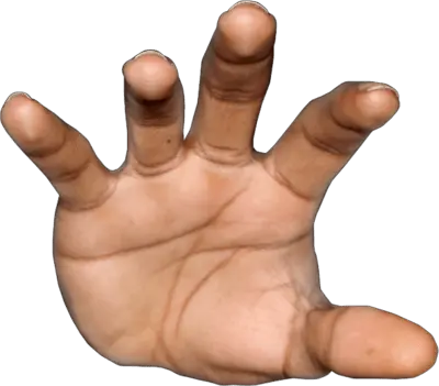 Hand Transparent Png