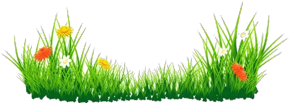 Transparent Png Images Icons And Clip Arts Grass Png Hd Tall Grass Png