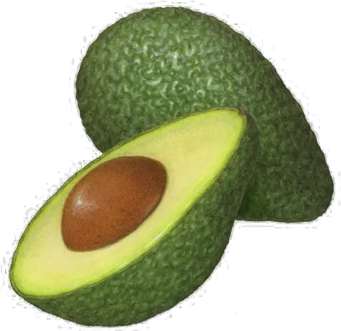 Half Avocado Png Clipart Mart Half An Avocado Drawing Avocado Transparent Background