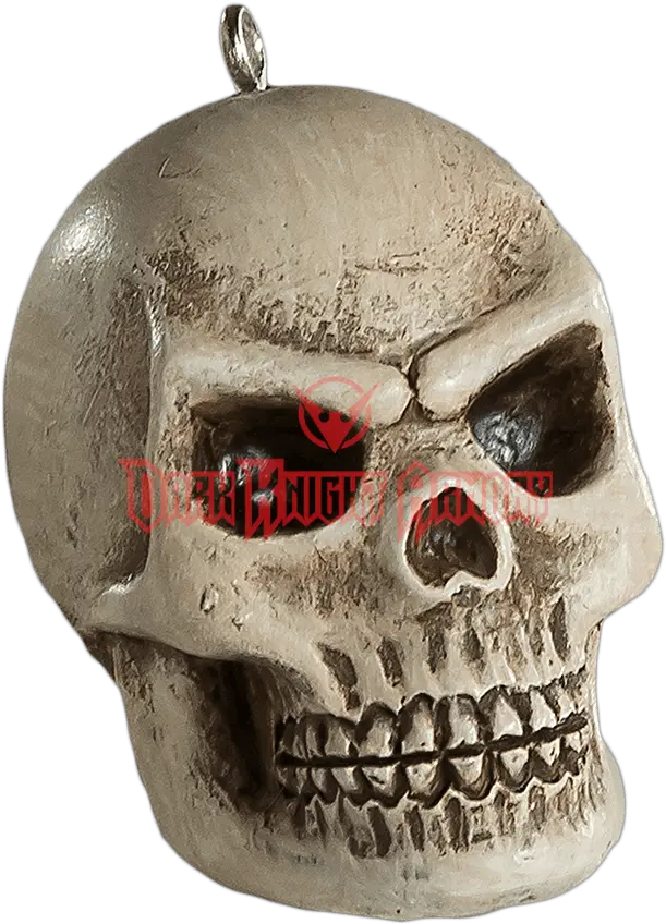 Download Hd Human Skull Horror Ornament Skull Transparent Skull Png Human Skull Png