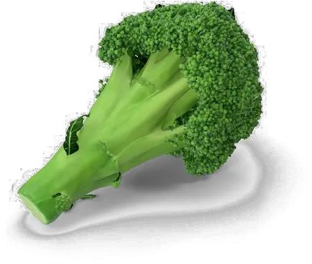 Broccoli Png Transparent Image Broccoli Broccoli Transparent