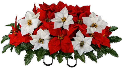 Red And White Poinsettia Poinsettia Png Poinsettia Png